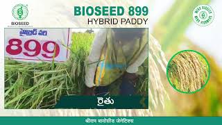 Bioseed899 HybridPaddy HighYield Bioseed [upl. by Otes]