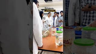 Pathology MUSEUM👩‍⚕️🌸 mbbs medico neet trending shorts viralvideo [upl. by Sabella]