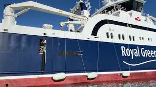 Royal Greenland Sisimiut Trawler [upl. by Wavell603]