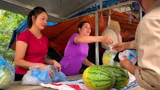 The girl harvested watermelons and brought them to the market to sell for 10000 [upl. by Ettenim]