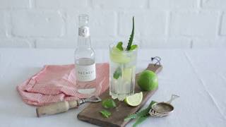 The Duchess Virgin Gin amp Tonic Aloe Vera Cocktail Recipe [upl. by Ernald209]