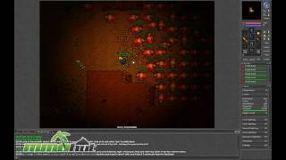 Tibia Gameplay  First Look HD [upl. by Alisa]