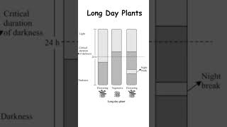 PHOTOPERIODISM in Plants II Plant Physiology II LDPSDP II feedshorts biologyshorts notes [upl. by Fiona]