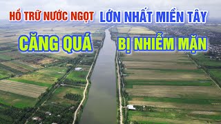 CĂNG QUÁ KHÔ HẠN BẾN TRE HỒ TRỮ NƯỚC NGỌT LỚN NHẤT MIỀN TÂY NHIỄM MẶN NGƯỜI DÂN CHỢ BA TRI RA SAO [upl. by Nonac]