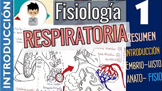 ✅ ANATOMÍA del SISTEMA RESPIRATORIO HUMANO Fácil [upl. by Tomchay]