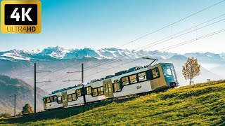 4K Train Driver View  Rigi to Vitznau Switzerland  Cab Ride  Driver POV  4K UHD [upl. by Rawdan]