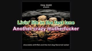 Limp Bizkit  Livin It Up Karaoke HD [upl. by Eidur]