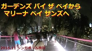 【201611 シンガポール旅行】 ガーデンズバイザベイからマリーナベイサンズへ [upl. by Uthrop]