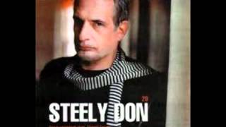 Donald Fagen  Big Noise New Yorkwmv [upl. by Gluck123]