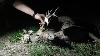 Otvaranje lova na Srndaća i Divlje Svinje u KnićuRoebuck and wildboar season open in Knić  E164 [upl. by Engenia]