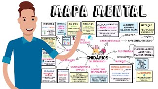 MAPA MENTAL  Cnidários [upl. by Gona]