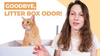 7 Tips to Get Rid of Cat Litter Smell for Good [upl. by Caralie728]