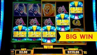 Tarzan Grand Slot  5 SYMBOL TRIGGER  BIG WIN BONUS [upl. by Booker948]