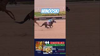 Winooski takes the first race under Edwin González GulfstreamPark [upl. by Kieger]