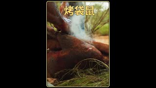 奇味美食石头烤袋鼠你敢吃嘛！袋鼠肉 澳大利亚 [upl. by Eiltan]