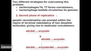 Genetic Modification Explained  InsulinProducing Bacteria [upl. by Aneeh]