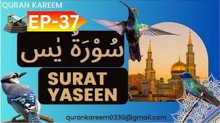 surah yaseen Ep37 surah yaseen full surahyasin quran qurantilawat [upl. by Assirialc]