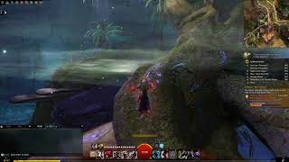 Guild Wars 2 Strongbox  Cryptonym Tangled Depths [upl. by Hadlee]