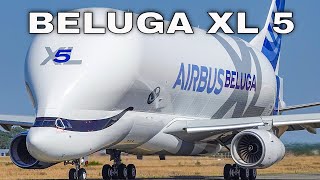 New AIRBUS BELUGA XL  Beluga XL5  First Flight at Toulouse Blagnac Airport [upl. by Ttenyl]