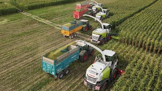 4 ensileuses dans le même champs pour attaquer les ensilages 2023  FULL CLAAS [upl. by Lehcor]