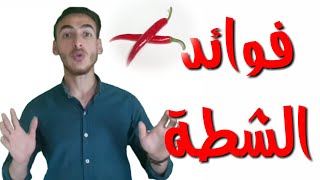 فوائد الفلفل الحار  معلومات غذائية وطبية لم تعرفها من قبل عن الشطة [upl. by Bowers]