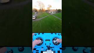 Pavo35 RIPS fpv fpvdrone fpvdronefreestyle shorts [upl. by Spillar]