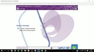 Topoisomerase I Activity [upl. by Adeuga]