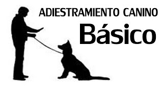 Adiestramiento Canino Basico [upl. by Triny953]