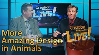 More Amazing Design in Animals Creation Magazine LIVE 522 [upl. by Odnomra219]