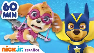 Paw Patrol Patrulla de cachorros  ¡1 HORA de los rescates más valientes de la Patrulla canina [upl. by Selyn859]