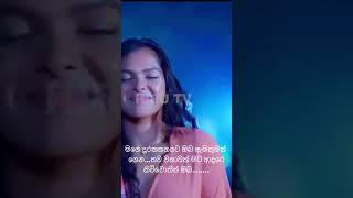 Yasith Kelambiarachchi New Trending Song viralvideo yasithkelambiarachchi trending shorts [upl. by Ettenuj]