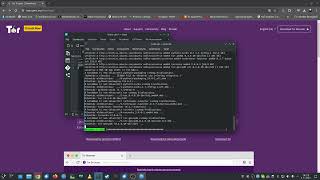 Tor webbrowser Ubuntu 2404 [upl. by Esertak]
