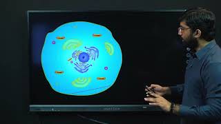 Biology Grade 9 Unit 2 knowledge 23 Lecture 2 nucleus mitochon ER [upl. by Fawnia]