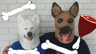 Funny dogs and a bears head mask 3 comedy videos by Arsenii [upl. by Koball]