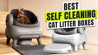 Top 3 BEST Self Cleaning Cat Litter Box [upl. by Marl]