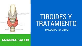 ✅TIROIDES Y TRATAMIENTO CORRECTO➡️Hashimoto hipotiroidismo y más [upl. by Allehc]