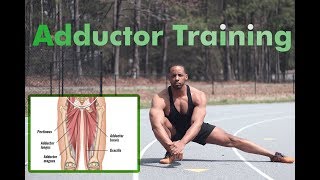 How to strengthen Adductors fix hip pain [upl. by Froma130]