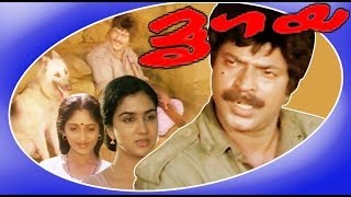 Mrigaya  Superhit Malayalam Full Movie  Mammootty amp Sunitha [upl. by Spiegel]