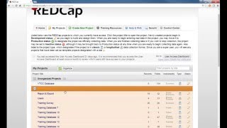 REDCap Topic Session  Avoid REDCap User Pitfalls [upl. by Revkah]