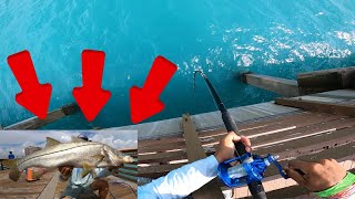 INSANE SNOOK FISHING part 2 [upl. by Eskill852]