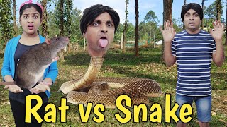 Rat vs Snake 🐍  comedy video  funny video  Prabhu Sarala lifestyle [upl. by Reilly50]