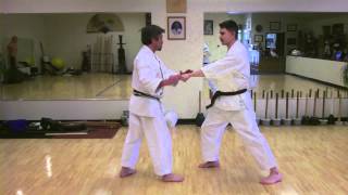 GoJuRyu Basic Bunkai [upl. by Brownson]