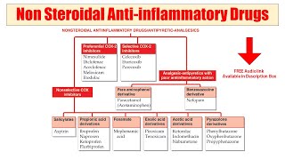 11 NSAID  Non Steroidal Anti Inflammatory Drugs  Audio Classification of NSAID Drugs  NSAIDs [upl. by Edieh360]