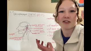 Cranial Nerve Media Assignment Glossopharyngeal Nerve [upl. by Nolrak]