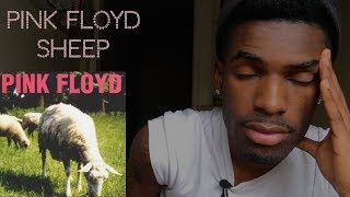 FIRST TIME LISTENING TO  Pink Floyd  Sheep  REACTION [upl. by Okorih446]