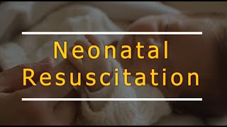 Neonatal resuscitation NRP and practice scenario [upl. by Armahs]