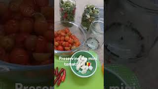 Preserving my tomatoes gardening organic tomato [upl. by Eniawed]