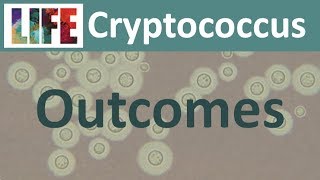 Cryptoccal meningitis treatment outcomes [upl. by Seto]