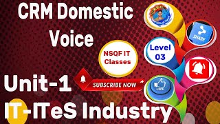 Level 3 CRM Domestic Voice II Unit1 ITITeS Industry Part1 [upl. by Deidre]