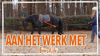 Bandito longeren met een nieuw hulpmiddel  BBLastic [upl. by Eonak]